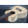 Ukelele de encaje de arce tigre
